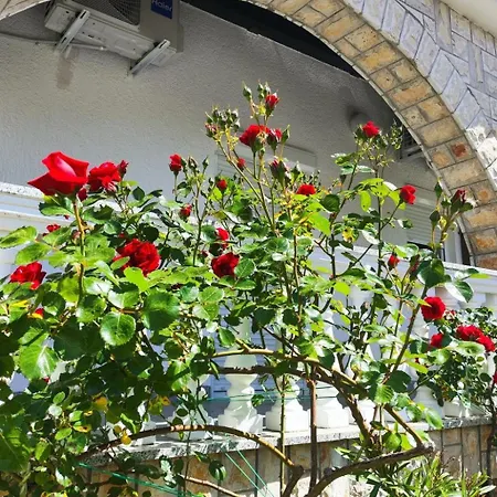 Apartman Zeljka4 Mit Gemeinschaftlichem Pool By Interhome Malinska