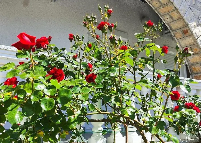 شقة Zeljka4 Mit Gemeinschaftlichem Pool By Interhome مالينسكا